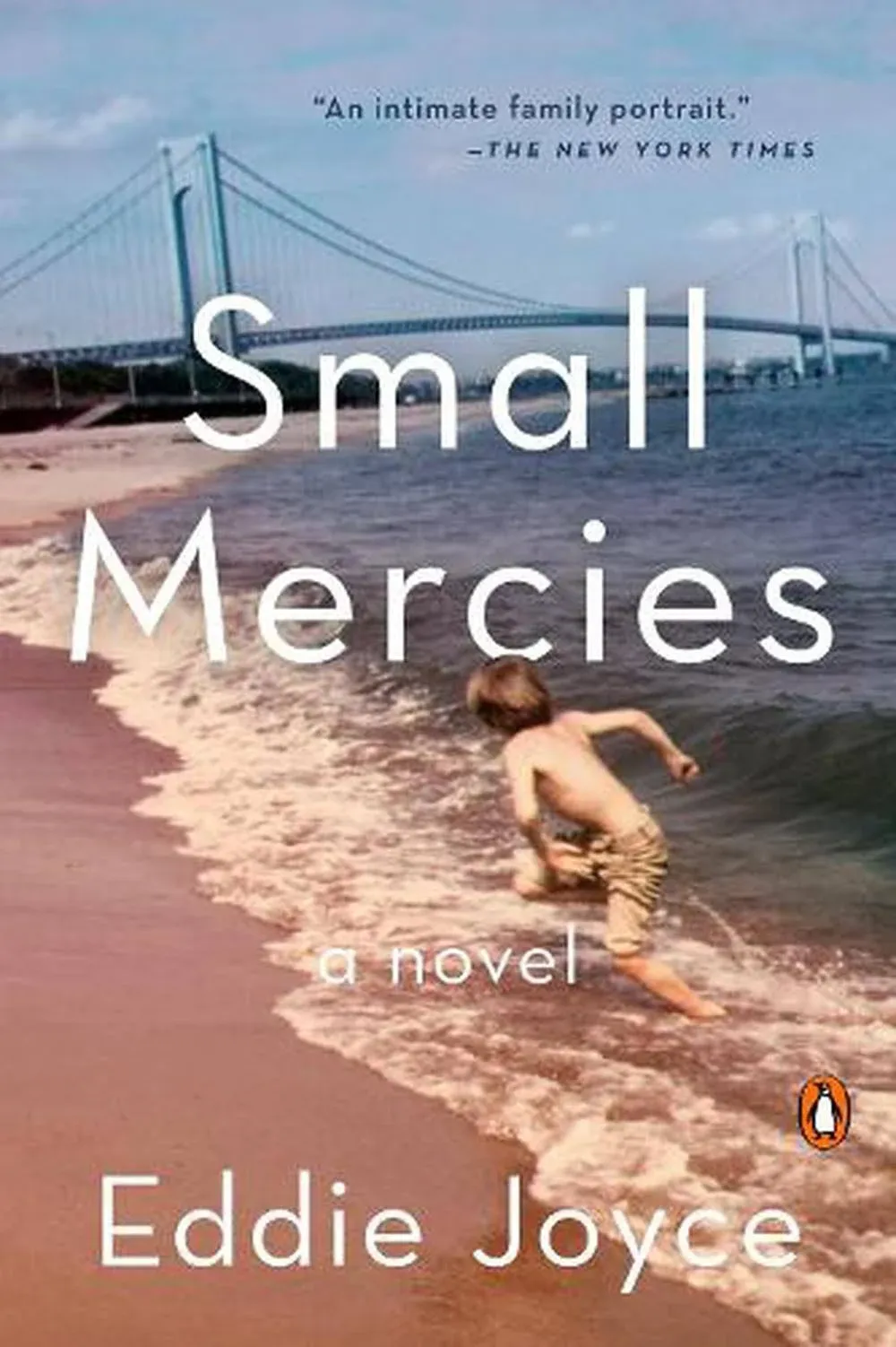 Small Mercies: A Novel