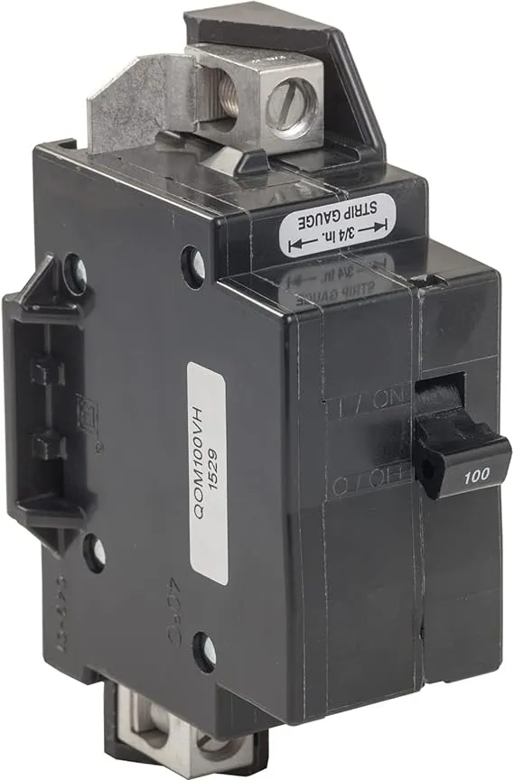 Square D QO 100-amp 2-Pole Main Circuit Breaker