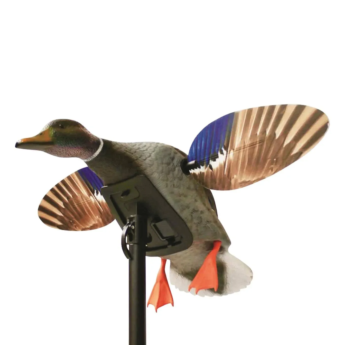 MOJO Elite Series Mini Mallard Drake Duck Decoy