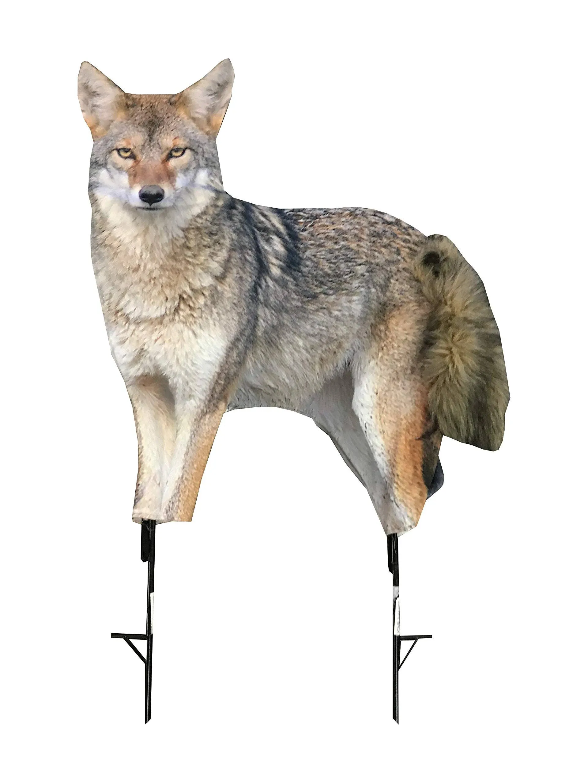 Montana Decoy Song Dog Coyote Decoy