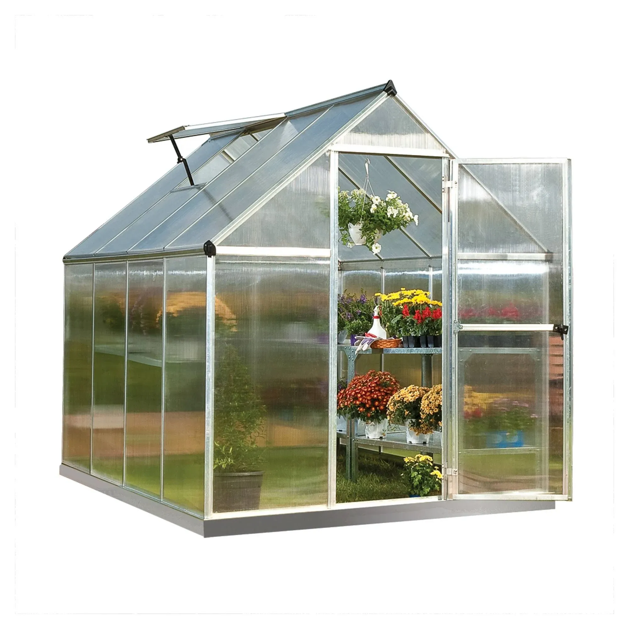 Palram – Canopia 6x4 Mythos Aluminum Greenhouse Kit - Silver (HG5005)