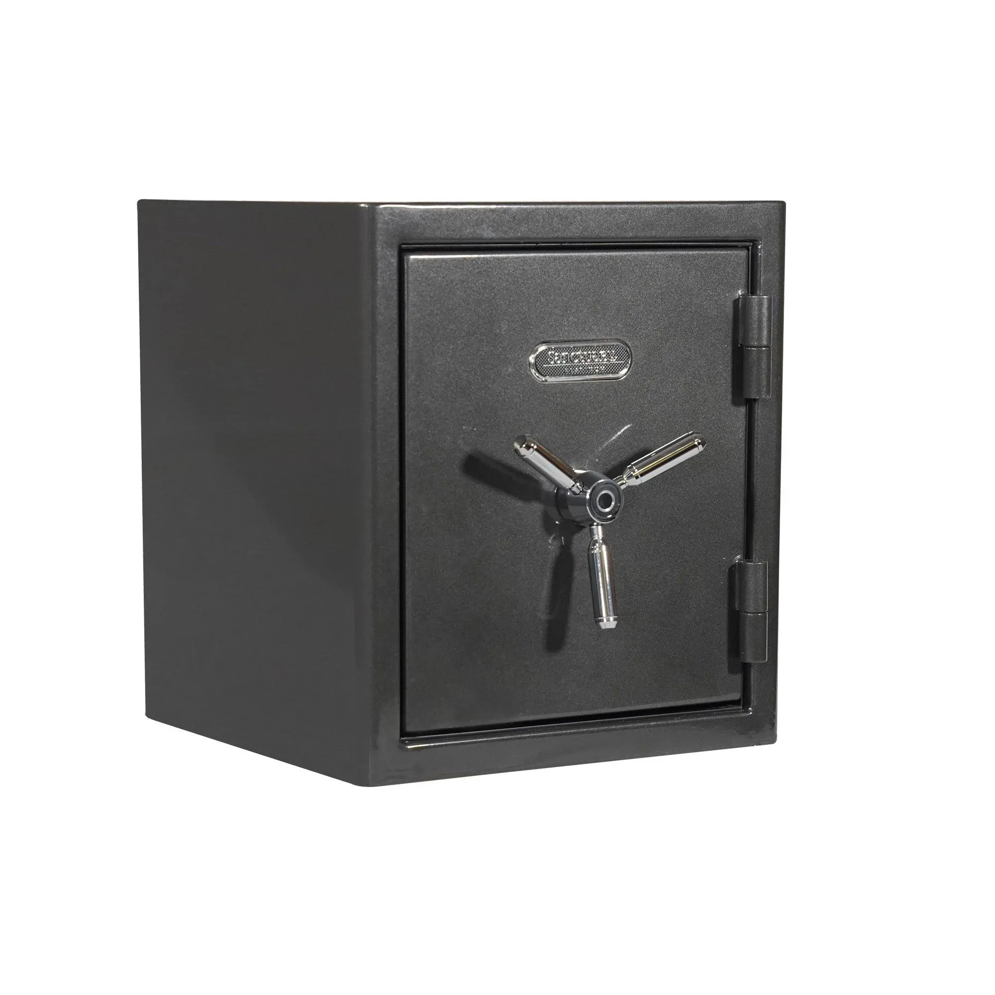 Sanctuary Platinum 1.96 Cu. ft. Fireproof/Waterproof Home & Office Safe with ...