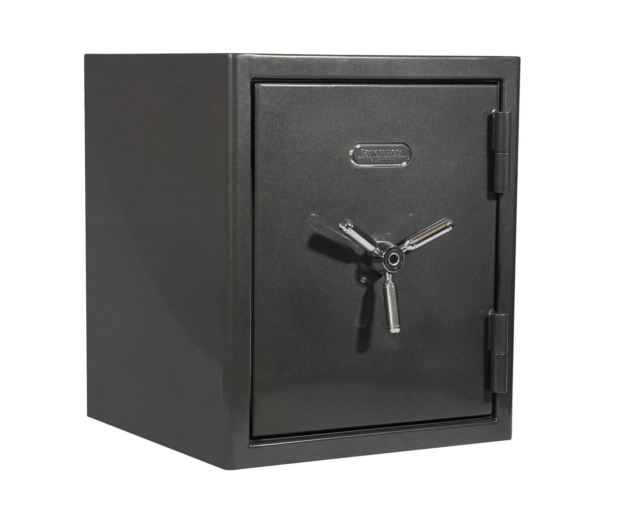 Sanctuary Platinum 3.32 Cu. ft. Fireproof/Waterproof Home & Office Safe with ...