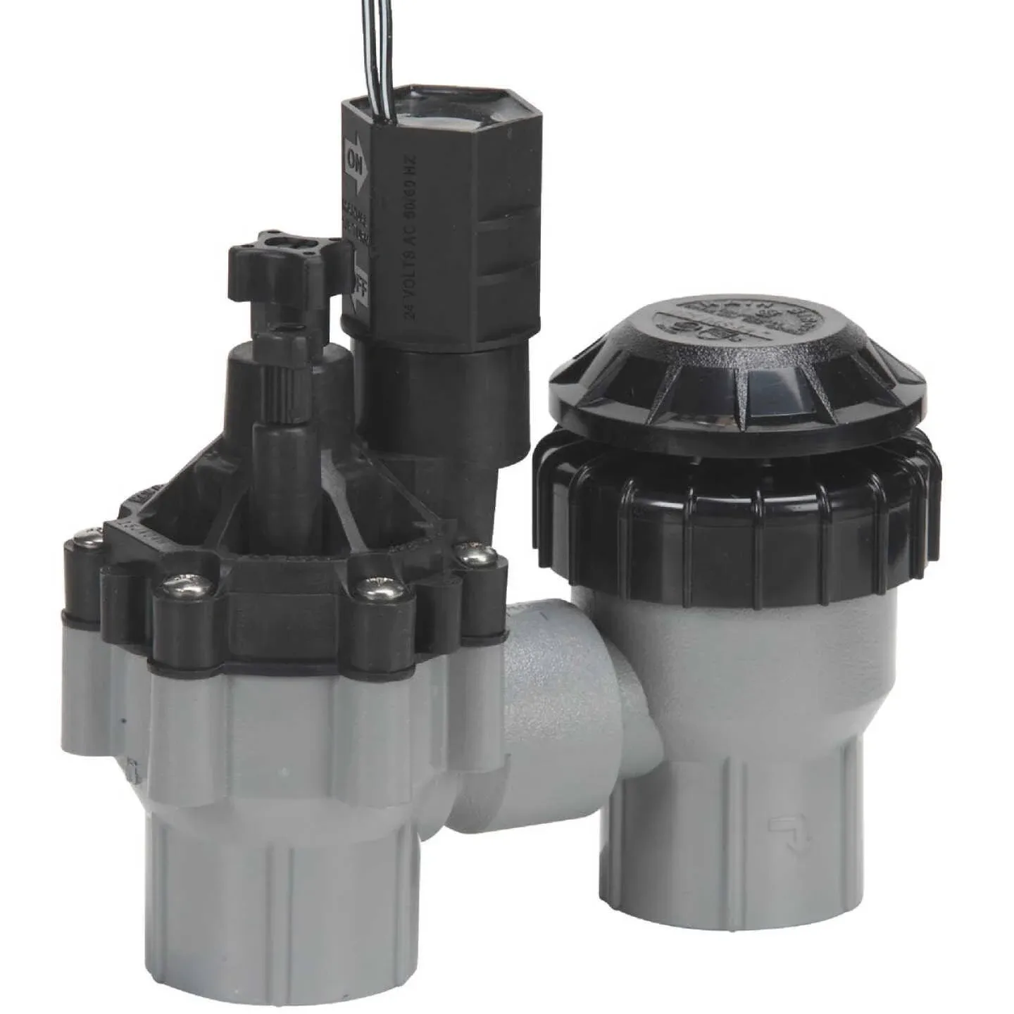 Rain Bird Anti-Siphon Valve - 3/4"