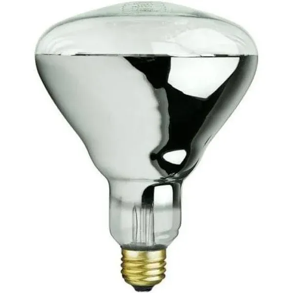 Rite Farm Products 125 Watt Infrared Clear Heat Lamp Light Bulb