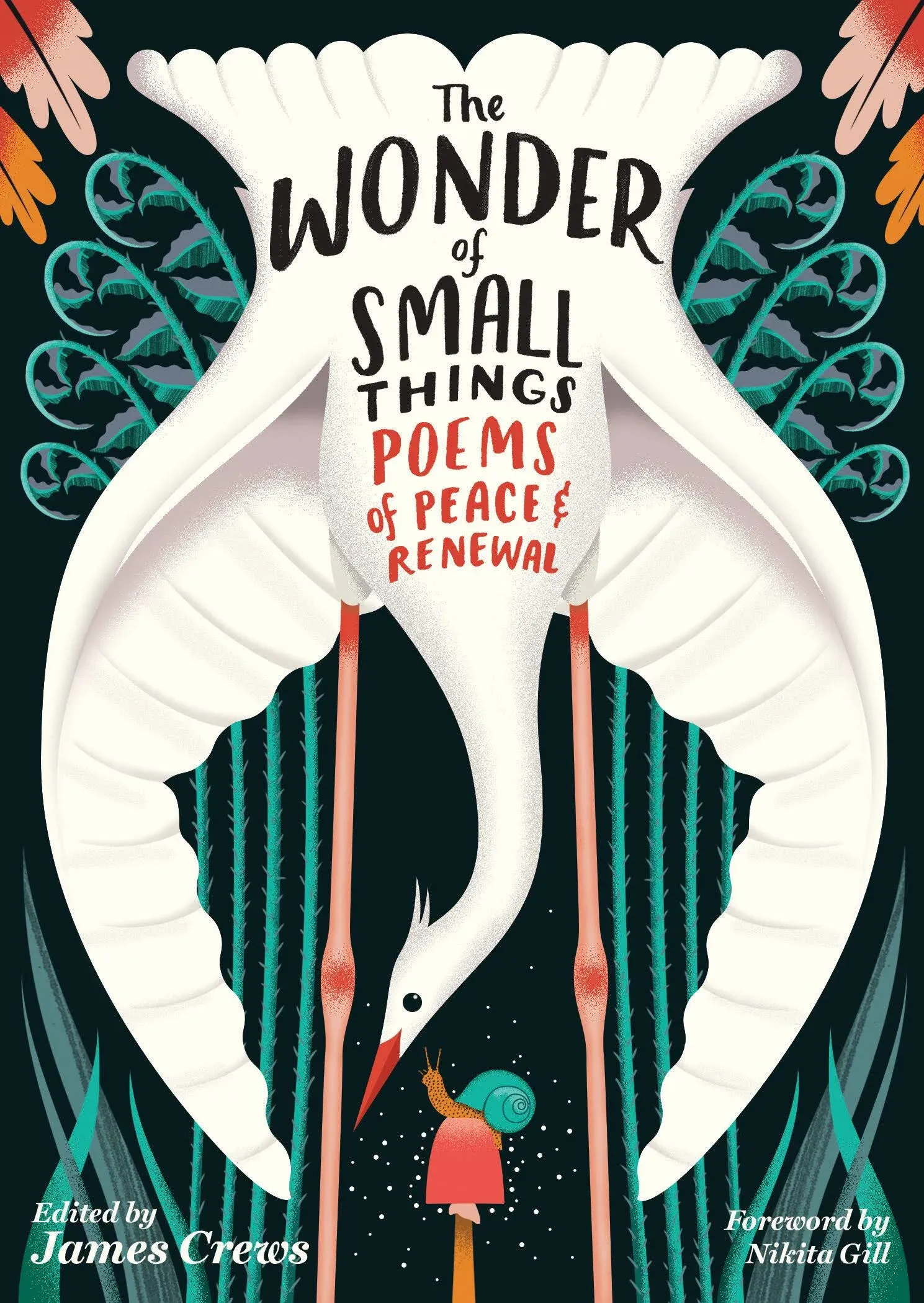 James Crews The Wonder of Small Things (Paperback)