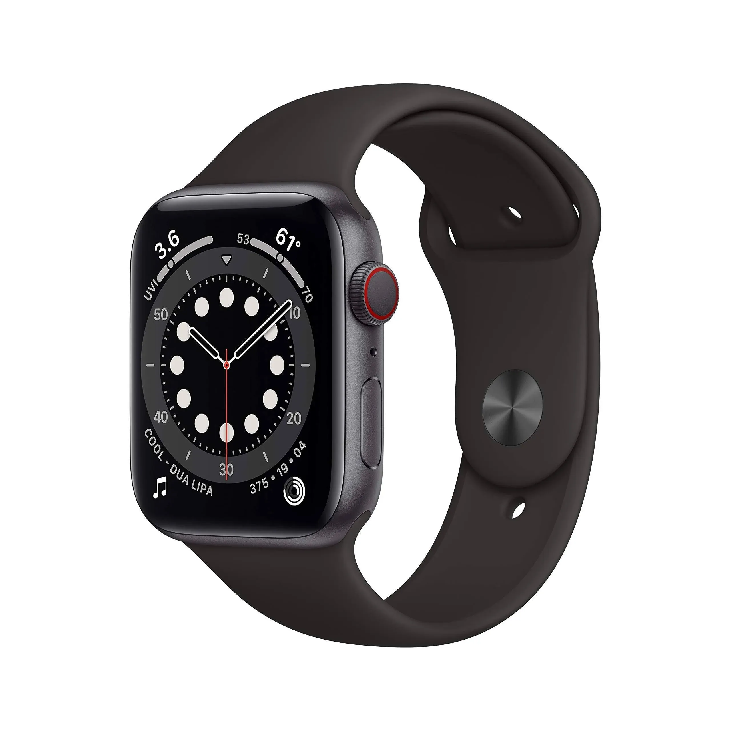 Apple Watch Adult Series 6 Aluminum Case