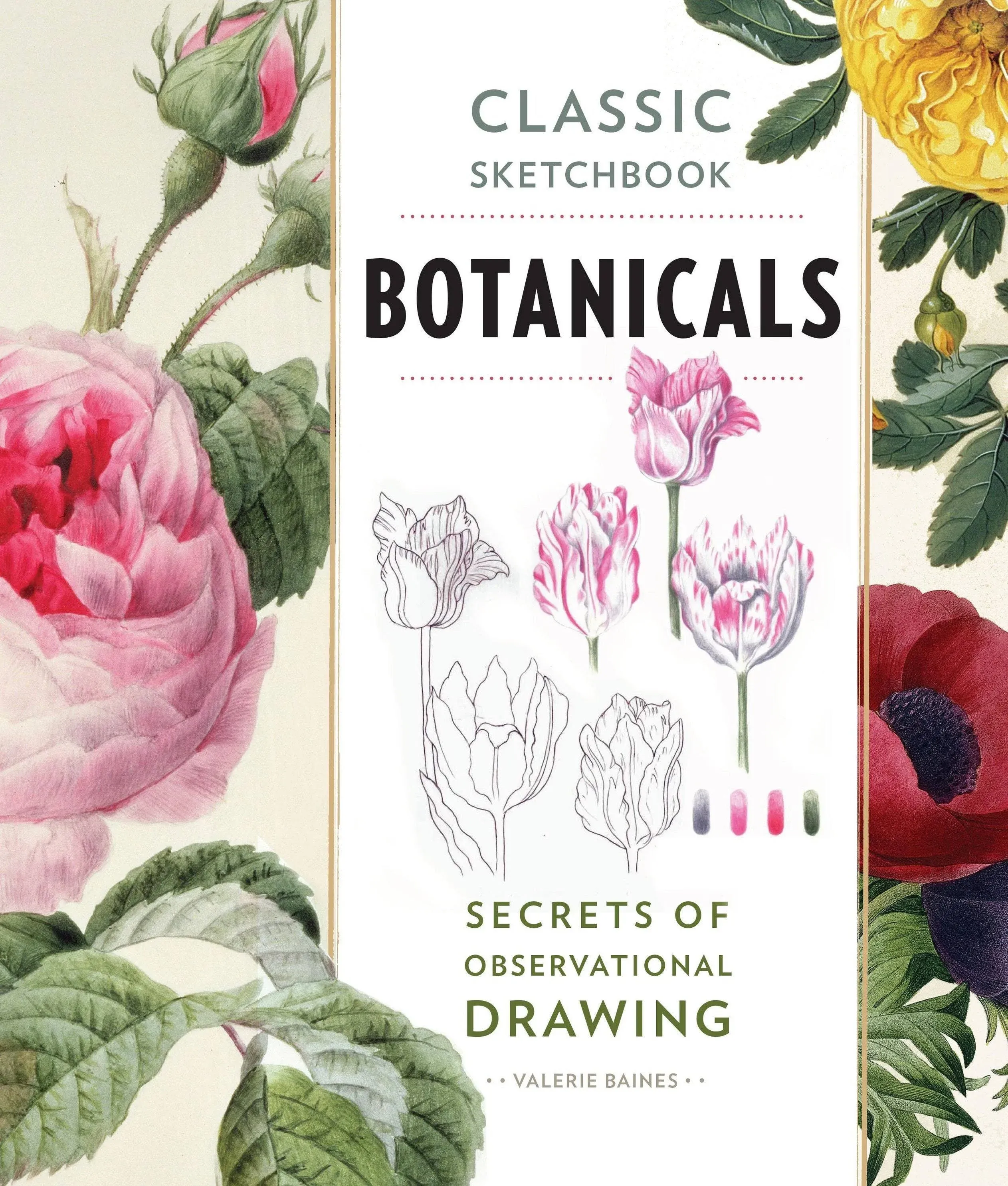 Classic Sketchbook: Botanicals: Secrets of Observational Drawing by  Valerie Baines - Paperback - from Phillybooks COM LLC (SKU: 531ZZZ000GJ5_ns)