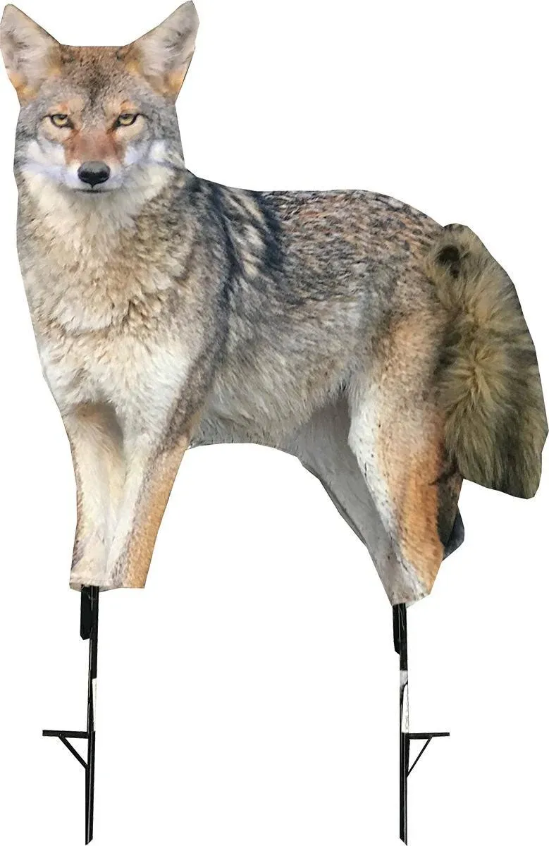 Montana Decoy Song Dog Coyote Decoy