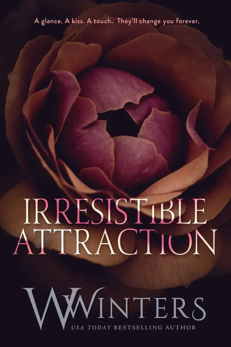 Irresistible Attraction (Paperback)