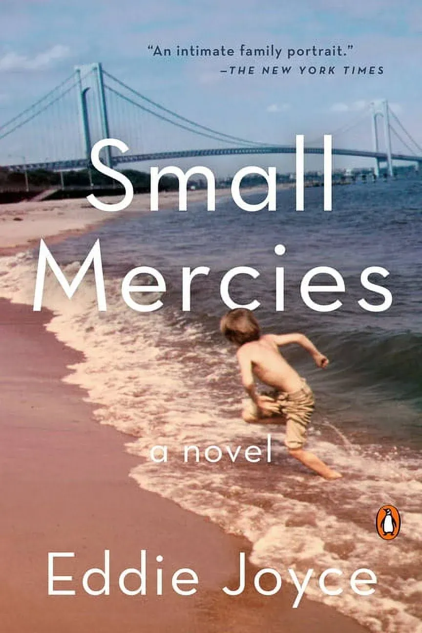 Small Mercies A Novel Format: Paperback