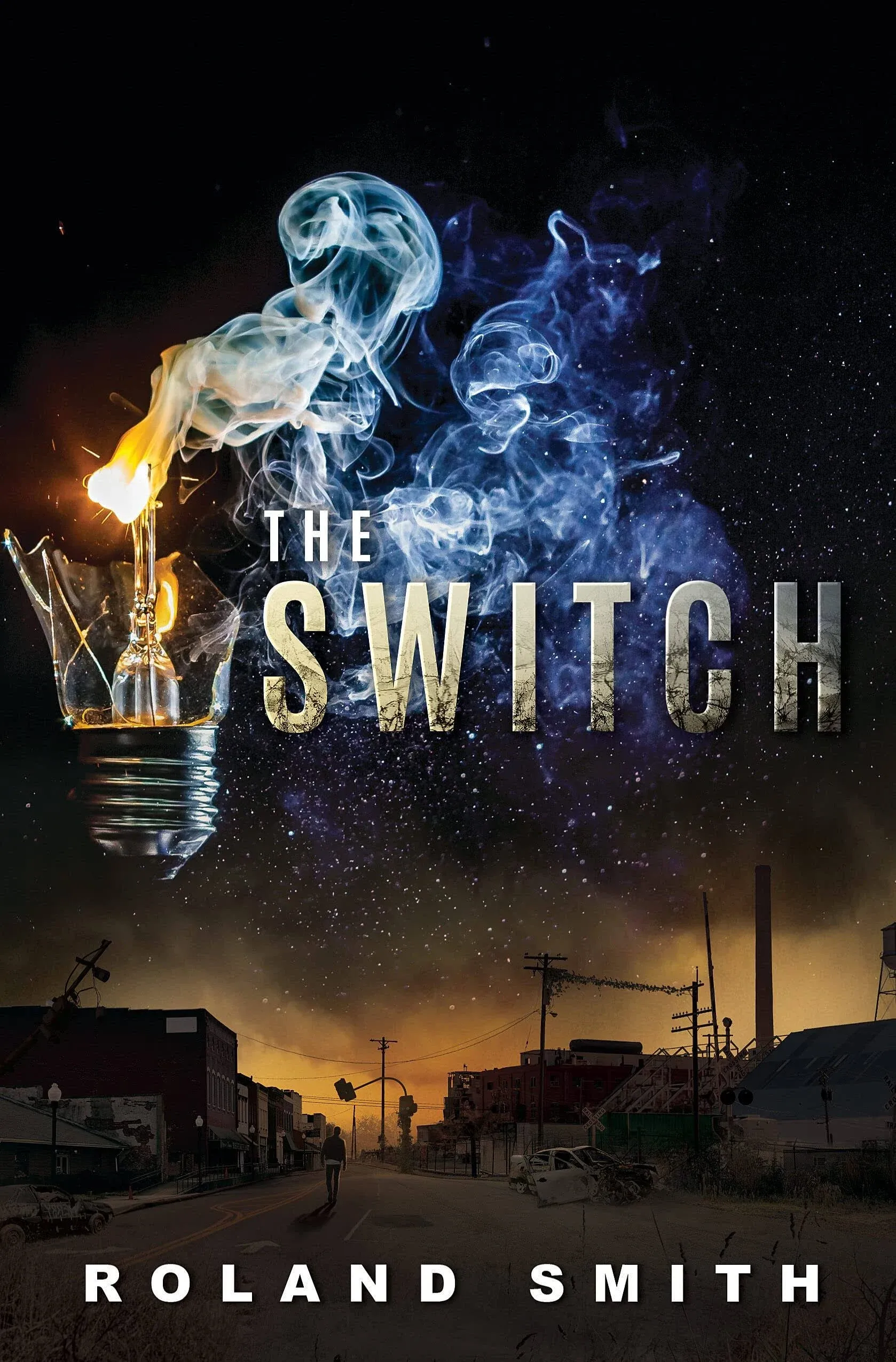 The Switch [Book]