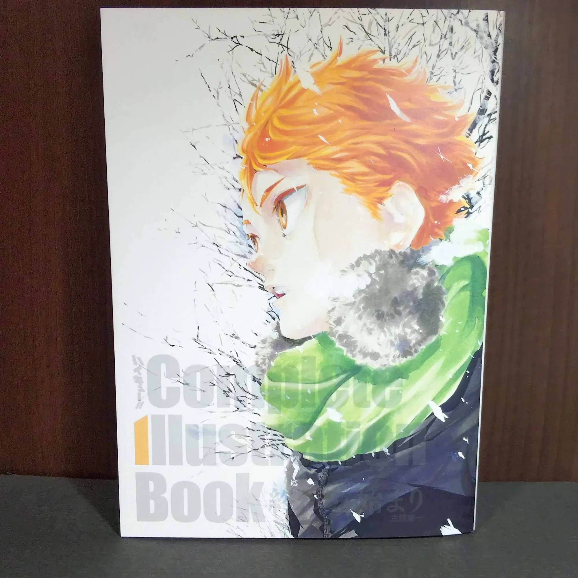 Haikyu!! Complete Illustration Book End and Beginning