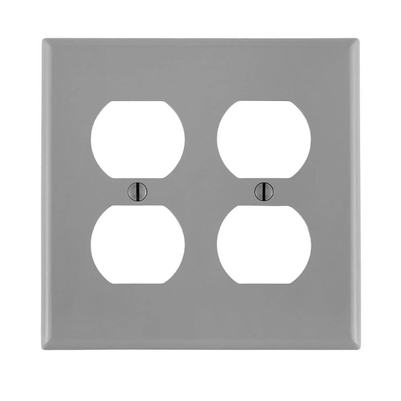 Receptacle 2 Gang Wallplate