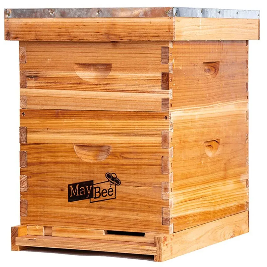 Maybee Bee Hive 10 Frame Bee Hives and Supplies Starter Kit, Bee Hive for ...