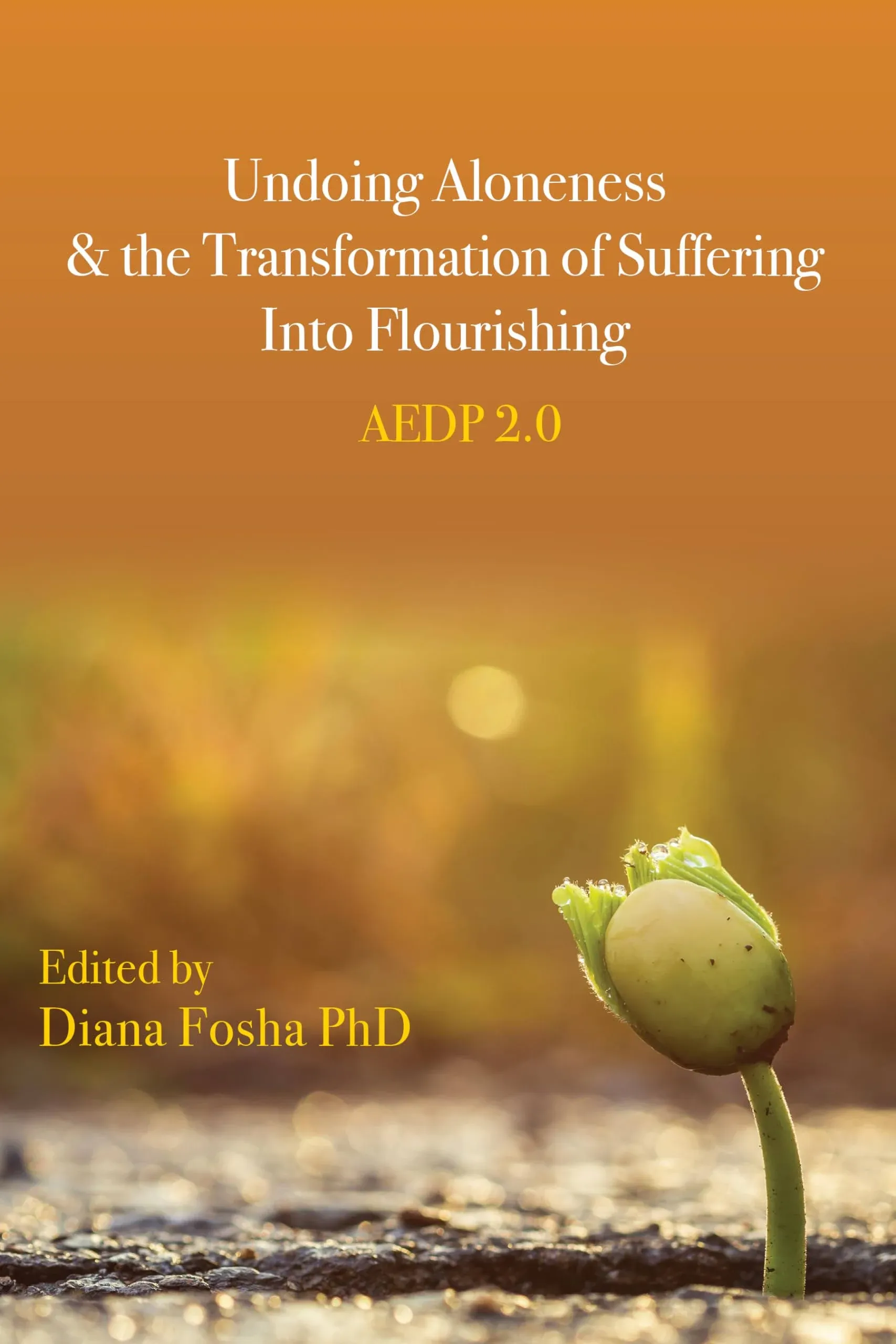 Undoing Aloneness and the Transformation of Suffering Into Flourishing: Aedp 2. 0 ...