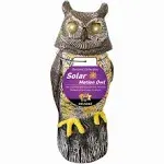 Owlsome Solar Owl