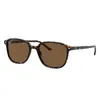 Leonard Sunglasses Tortoise Frame Brown Lenses Polarized 51-18