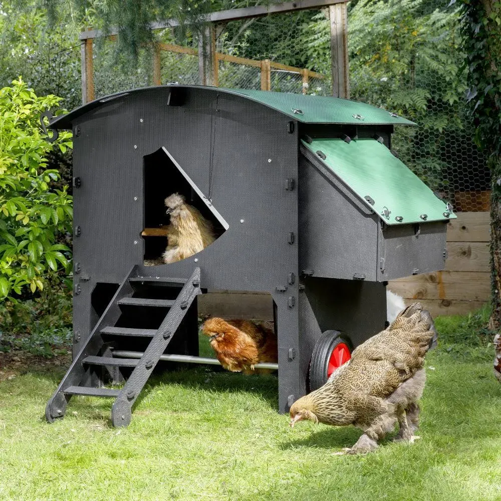 Nestera Large Raised Chicken Coop