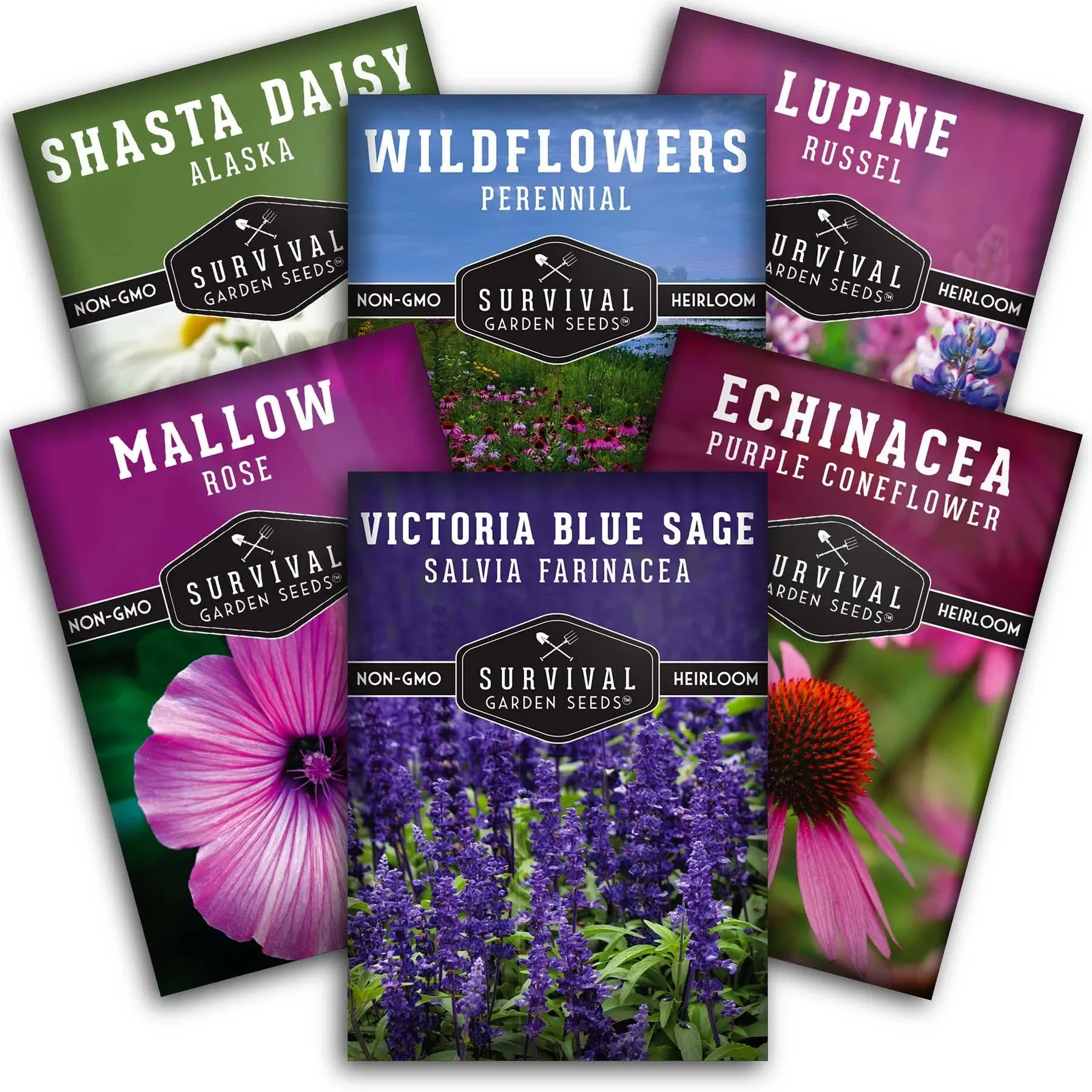 Perennial Flowers Mix 6 Seed Pack - Shasta Daisy, Echinacea, Russell Lupine, Rose ...