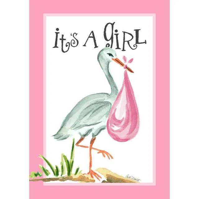 Toland Home Garden 28" x 40" It's A Girl House Flag