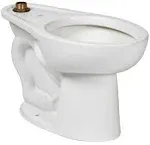 American Standard Madera ADA Elongated Toilet Bowl