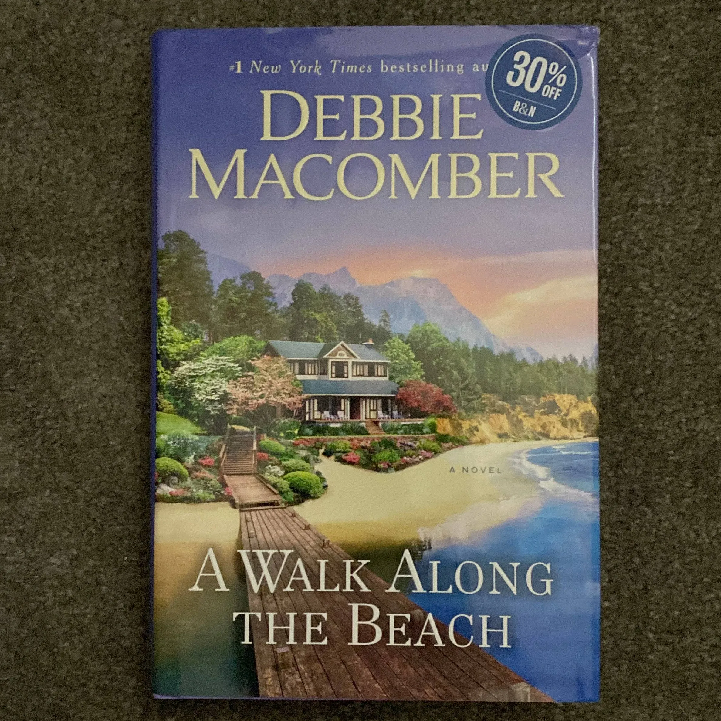 A Walk Along the Beach: A Novel [Book]