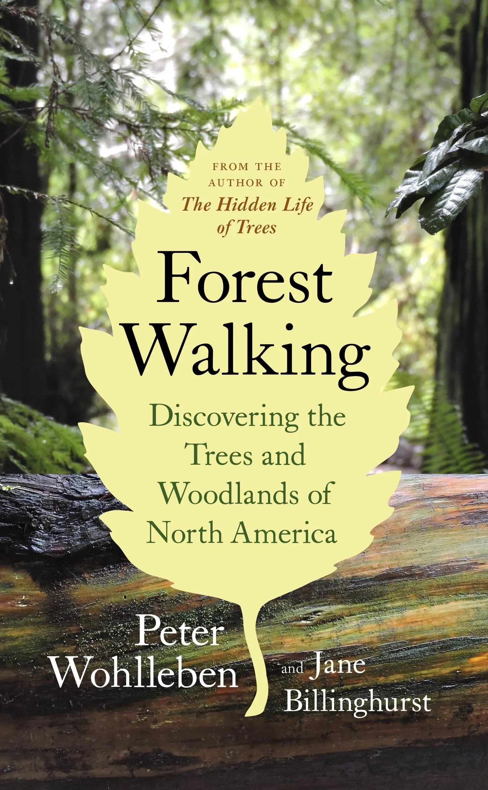 Forest Walking: Discovering the Trees and Woodlands of North… - Peter Wohlleben