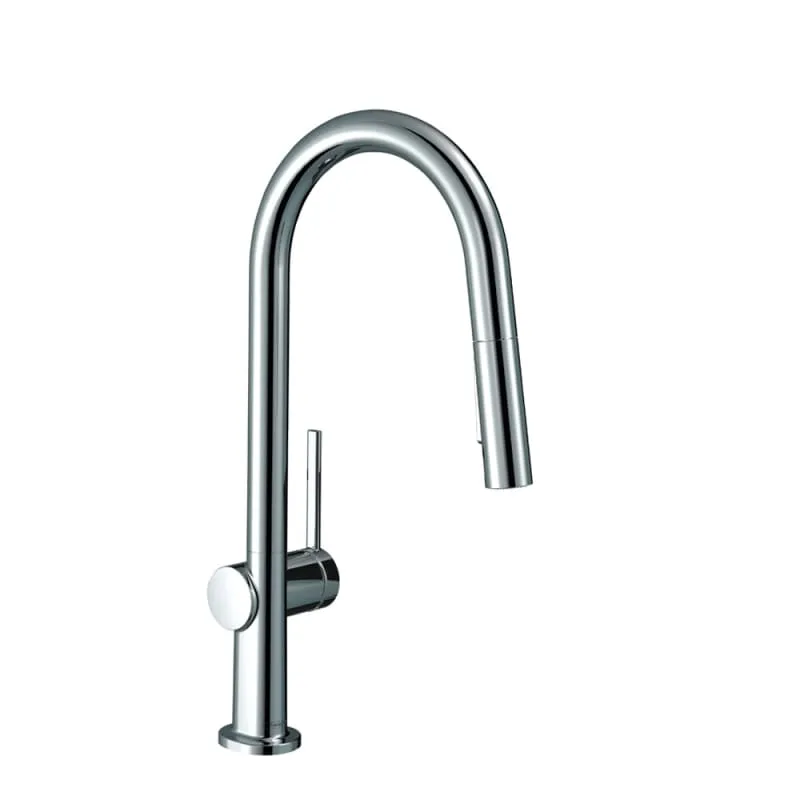 Hansgrohe 72846801 Talis N 2-Spray Pull-Down Kitchen Faucet in Steel Optic