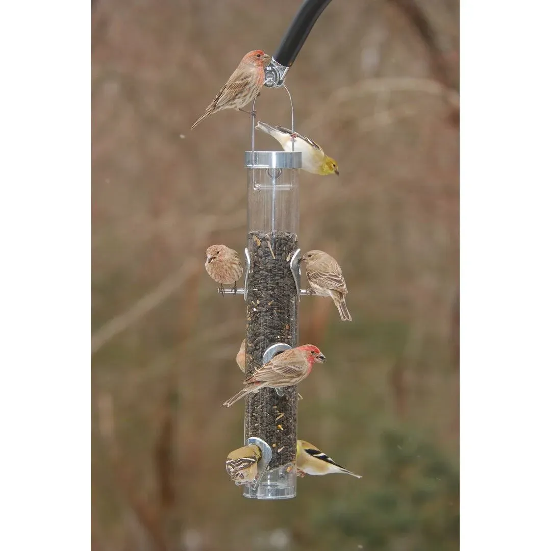 Droll Yankees Classic Sunflower or Mixed Seed Bird Feeder, Ring Pull Advantage, 