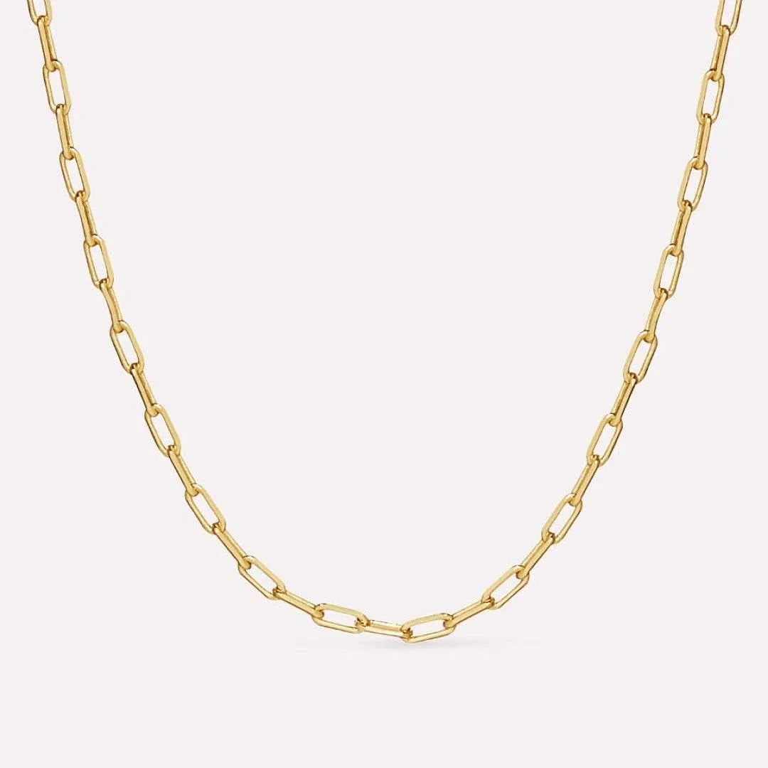 Ana Luisa Link Chain Necklace