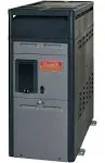 Raypak Digital Natural Gas Heater 156,000 BTU | 014784