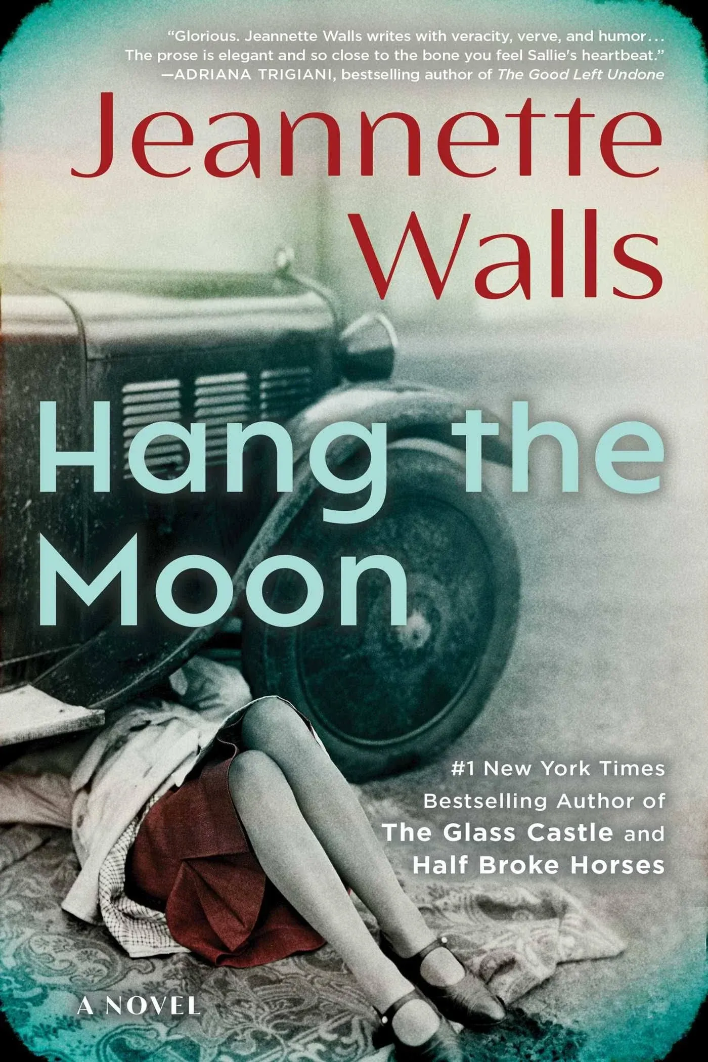 Hang the Moon: A Novel [Book]