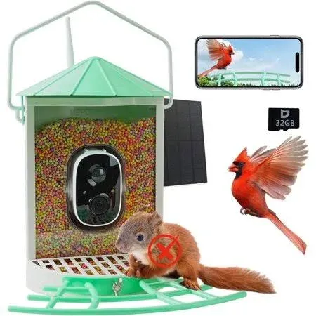 Birdkiss Bird Feeder Camera Smart: Wireless Bird House with Solar Panel - Motion Activated &amp; Watching HD Bird Video - Metal Squirrel Proof Birdfeeder