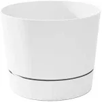 Majestic Low Profile Cylinder Pots, 8½-Inch, White