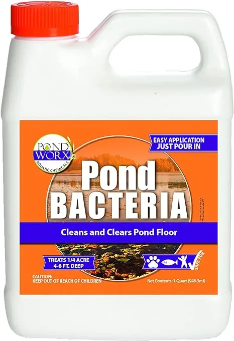 Pondworx Pond Bacteria - Concentrated & Formulated for Large Ponds, Water Features - Safe for Koi - 32ounes & Treats up to a Quarter Acre Pond