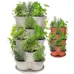 Amazing Creation Stackable Planter Vertical Garden for Growing Strawberries, Herbs, Flowers, Vegetables and Succulents, Indoor/Outdoor 5 Tier