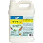 API POND ALGAEFIX Algae Control 64-Ounce Bottle (FF-169D)