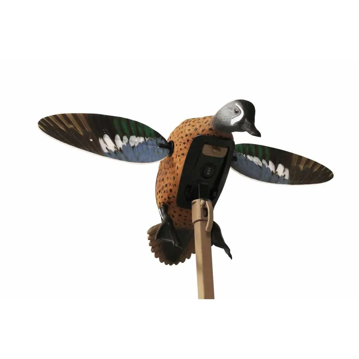 Mojo Elite Series - Blue Wing Teal - Remote Ready