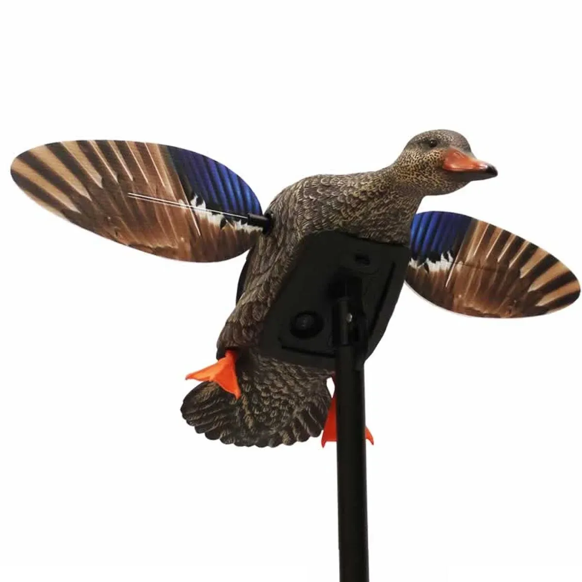 Mojo Outdoors Elite Series Green Wing Teal Motorized Duck Decoy