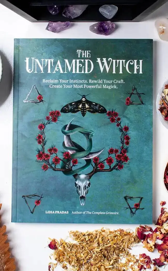 Lidia Pradas The Untamed Witch (Paperback) (UK IMPORT)