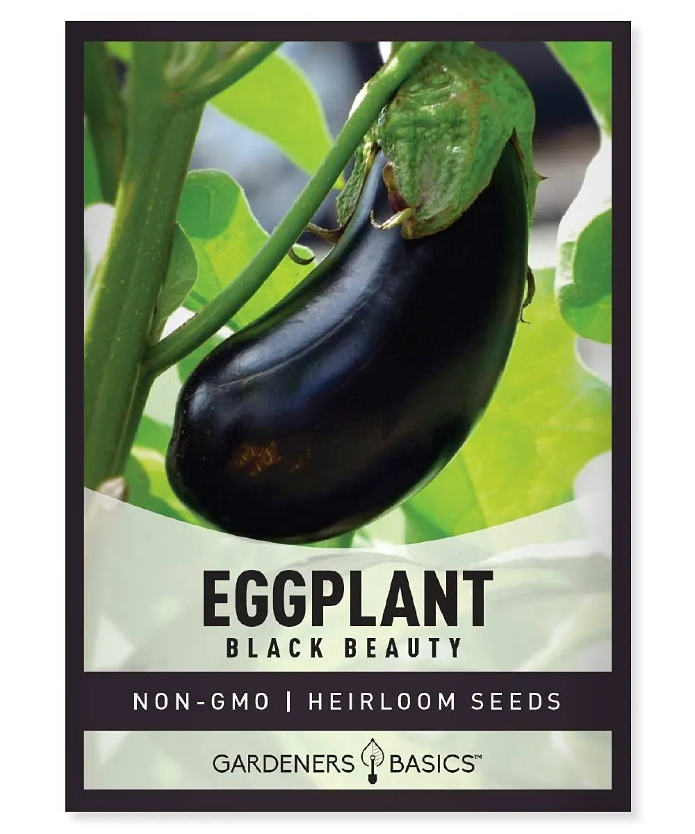 Black Beauty Eggplant Seeds