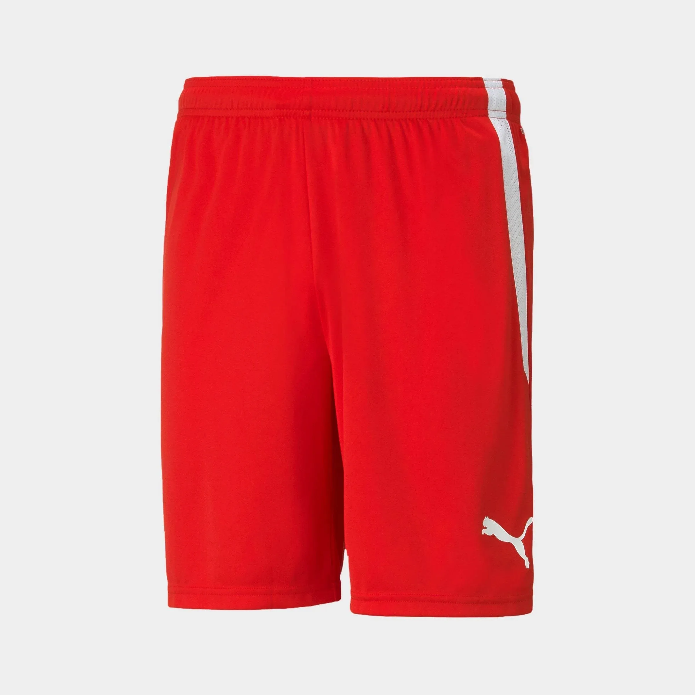 Puma Women's Teamliga Shorts