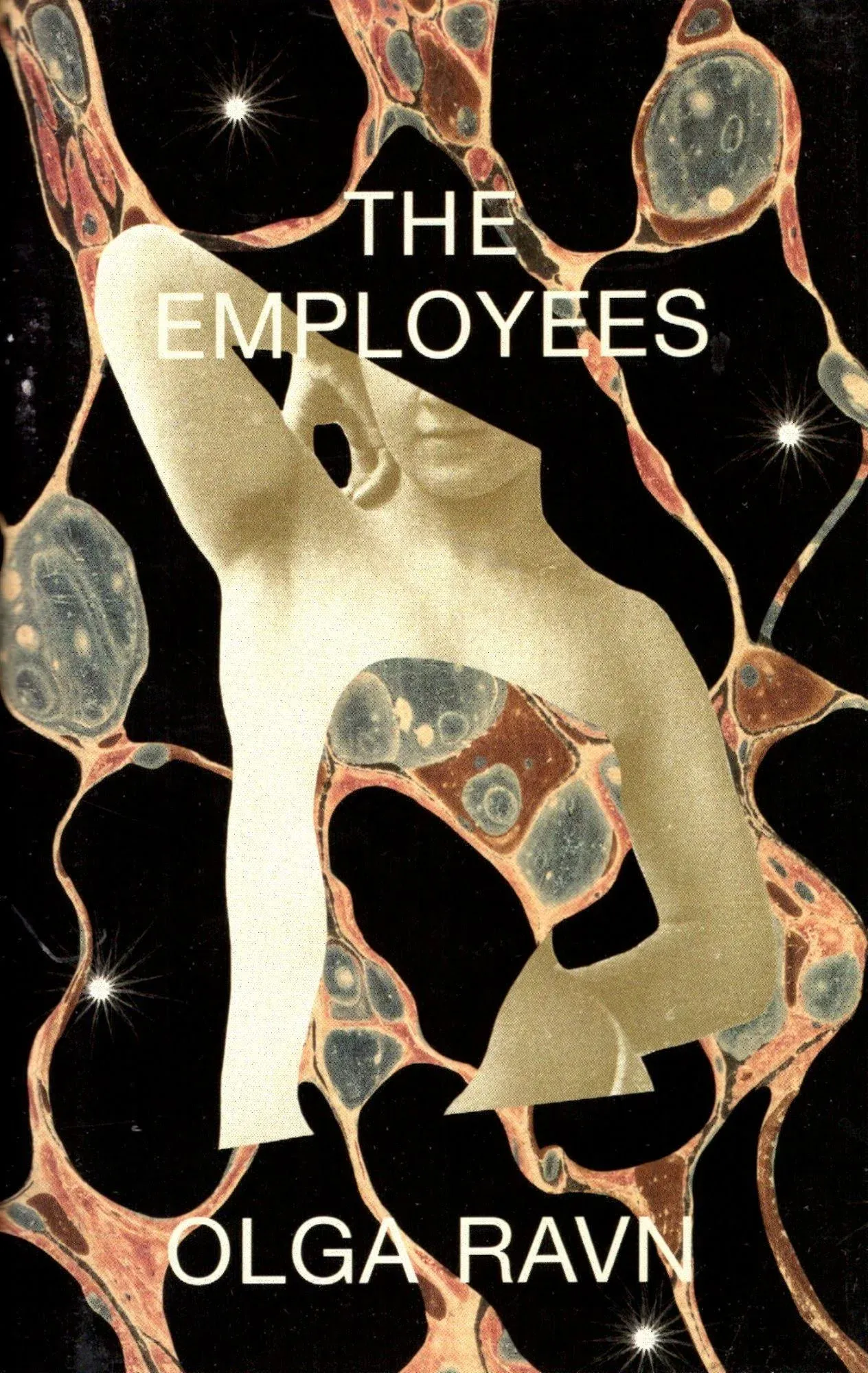 The Employees: A Workplace Novel of the 22nd Century [Book]