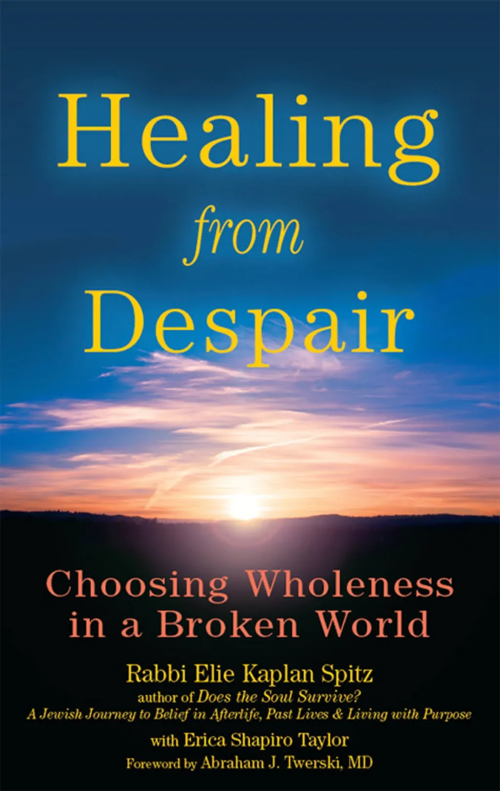 Elie Kaplan Spitz Healing from Despair (Gebundene Ausgabe) (US IMPORT)