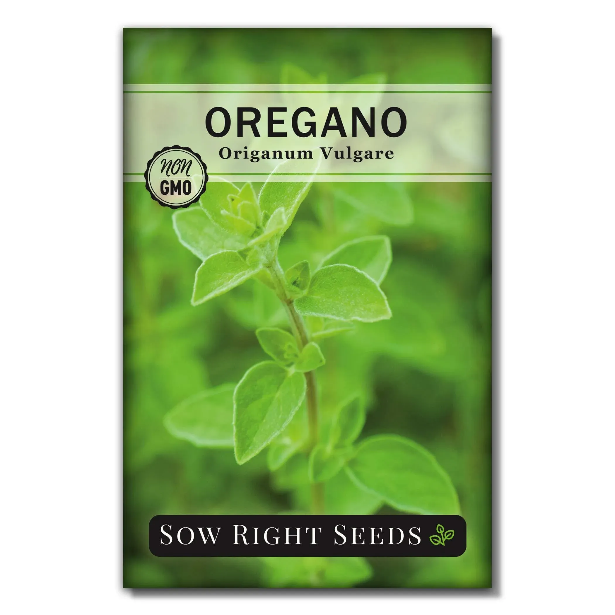 Oregano