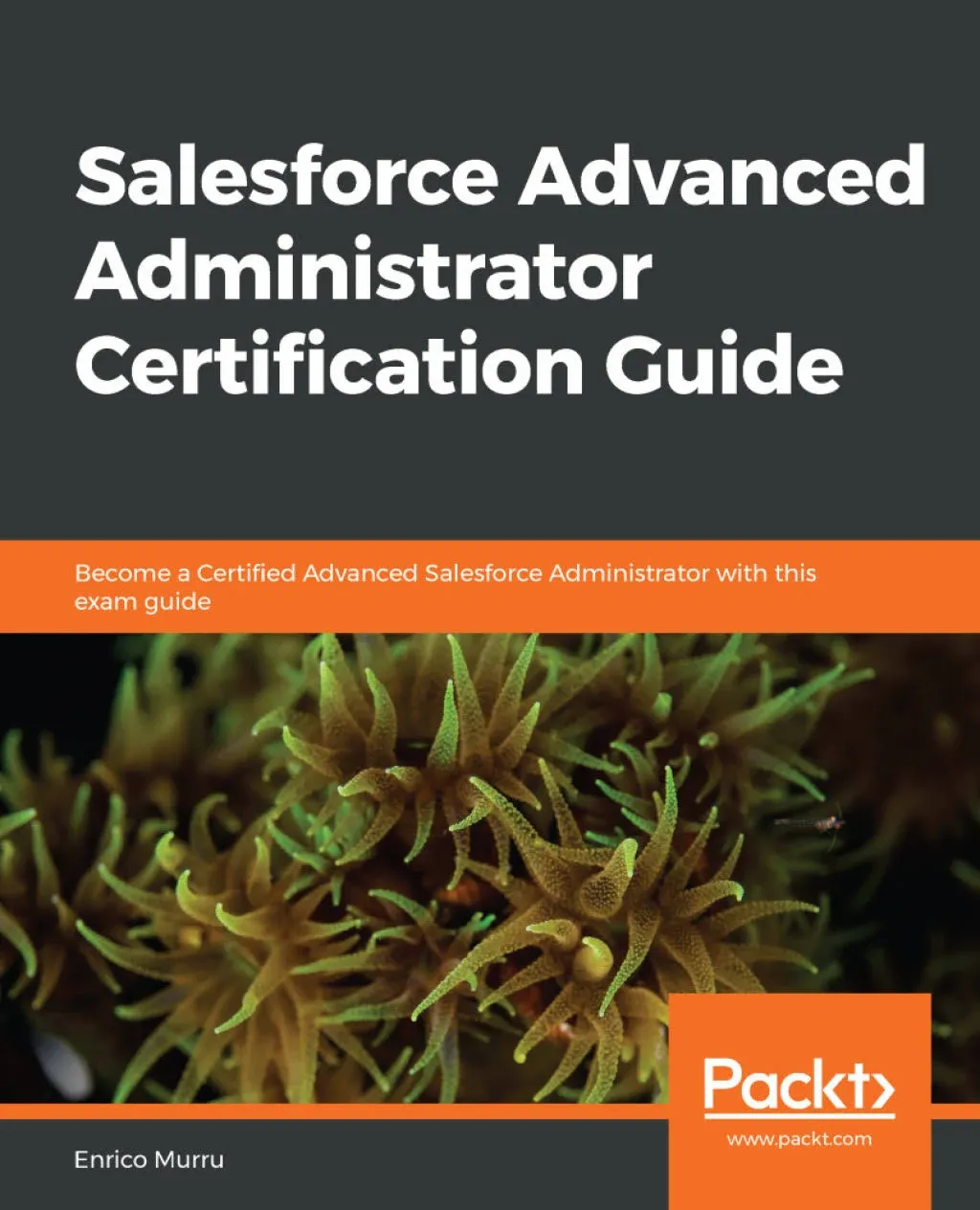 Salesforce Advanced Administrator Certification Guide: Become a Certified ...