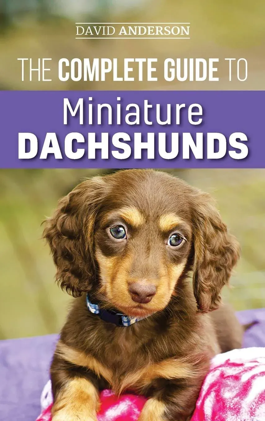 The Complete Guide to Miniature Dachshunds: A Step-by-step Guide to Successfully ...