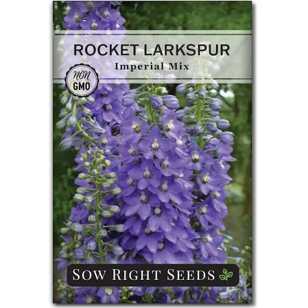 Sow Right Seeds - Rocket Larkspur Imperial Mix Flower Seeds for Planting ...