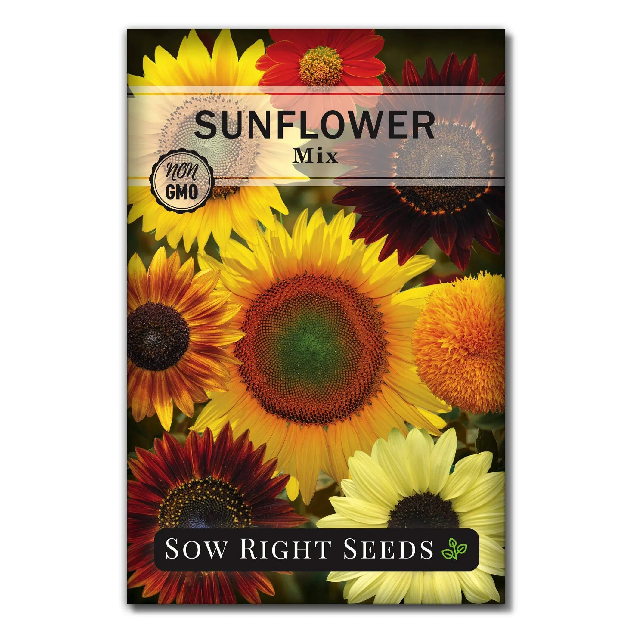 Sunflower Mix